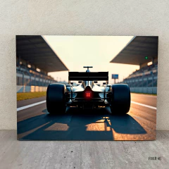 Formula 1 Varios 46 en internet