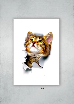 Gatos 46 en internet