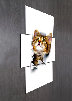 Tríptico escalonado Gatos 46 en internet