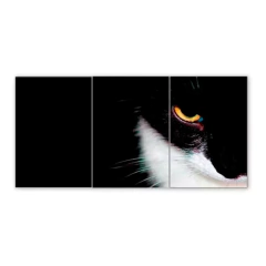 Tríptico simple Gatos 5
