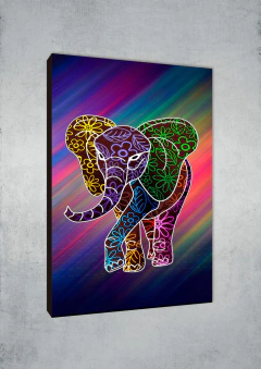 Elefantes 50 - MetaXroma