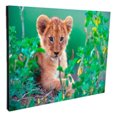 Portallaves de pared Leones 52