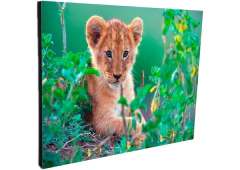 Portallaves de pared Leones 52 - comprar online