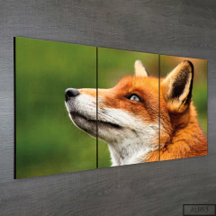 Tríptico simple Zorros 5 - comprar online