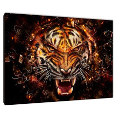 Tigres 53 - comprar online