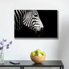 Cebras 56 - MetaXroma