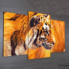 Tríptico escalonado Tigres 58 - comprar online