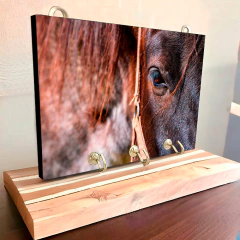 Portallaves de pared Caballos 59 en internet