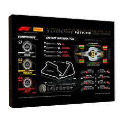 Circuitos 61 - comprar online