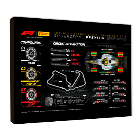 Circuitos 61 - comprar online