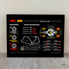 Circuitos 61 en internet