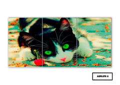 Tríptico simple Gatos 6 - comprar online