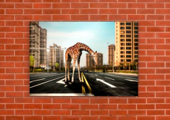 Jirafas 61 - tienda online