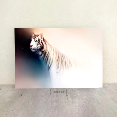 Tigres 64 en internet