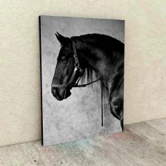 Caballos 66 en internet