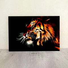 Tigres 67 en internet