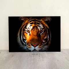 Tigres 69 en internet