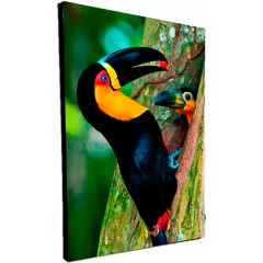 Portallaves de pared Pájaros 7
