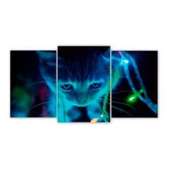 Tríptico escalonado Gatos 7