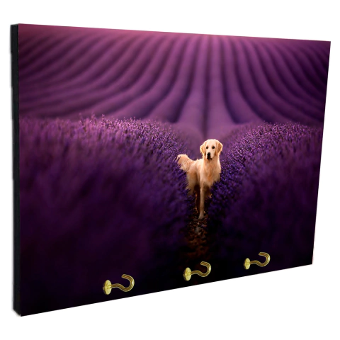 Portallaves de pared Perros 72