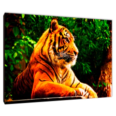 Tigres 72 - comprar online