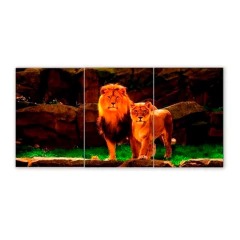 Tríptico simple Leones 75