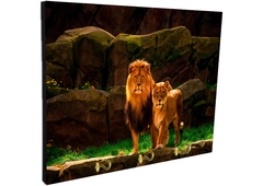 Portallaves de pared Leones 75 - comprar online