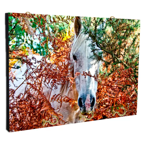 Portallaves de pared Caballos 76