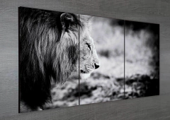 Tríptico simple Leones 76 en internet