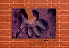 El rey león 79 en internet