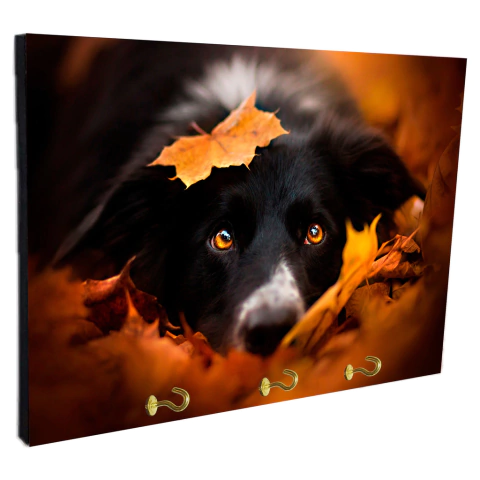 Portallaves de pared Perros 8