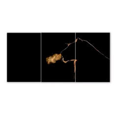 Tríptico simple Leones 80