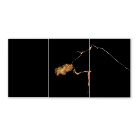 Tríptico simple Leones 80