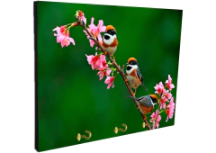 Portallaves de pared Pájaros 80 - comprar online