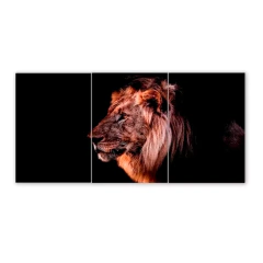 Tríptico simple Leones 84