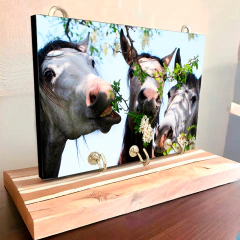 Portallaves de pared Caballos 86 en internet