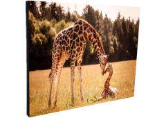 Portallaves de pared Jirafas 88 - comprar online