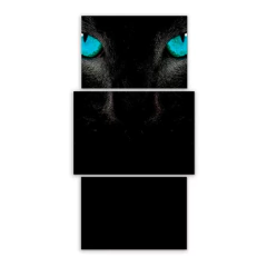 Tríptico escalonado Gatos 9