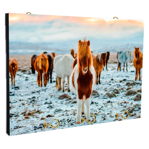 Portallaves de pared Caballos 92