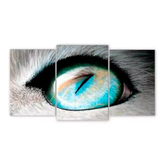 Tríptico escalonado Gatos 96