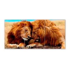 Tríptico simple Leones 99