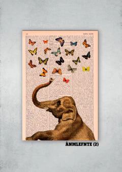 Elefantes 2 en internet