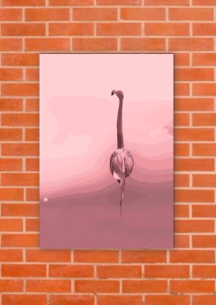 Flamencos 101 - tienda online