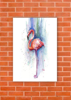 Flamencos 102 en internet