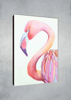 Flamencos 106 - MetaXroma