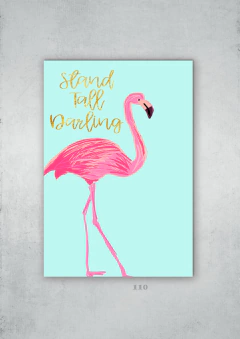 Flamencos 110 en internet