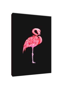 Flamencos 115 - comprar online