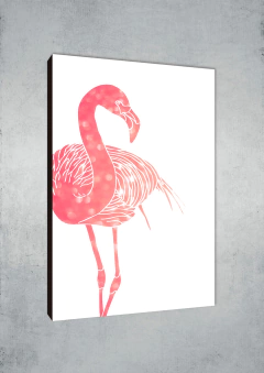 Flamencos 24 - MetaXroma