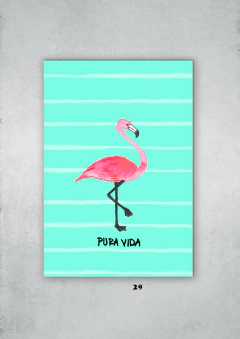 Flamencos 29 en internet