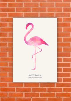 Flamencos 35 - tienda online